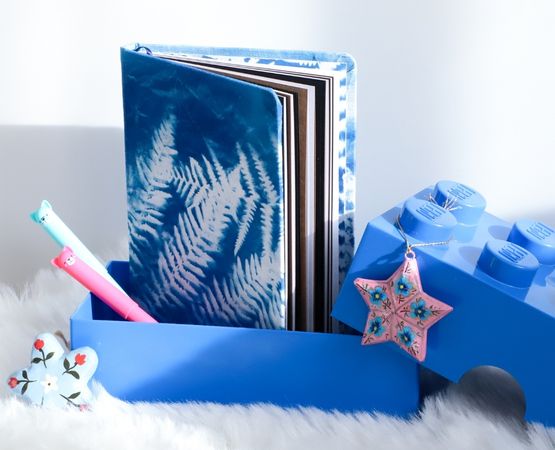 Notebook with cyanotype cover of fern on blue background.
