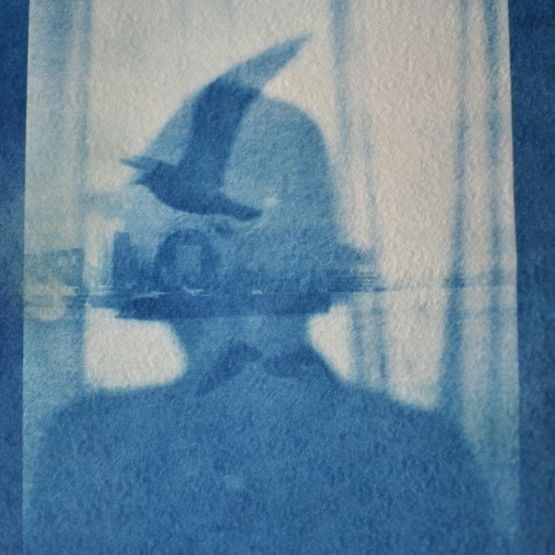 Cyanotype représentant une silhouette humaine sur laquelle un oiseau est surimprimé.