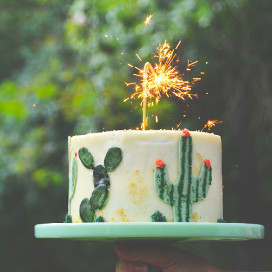 Cactus-shaped cake