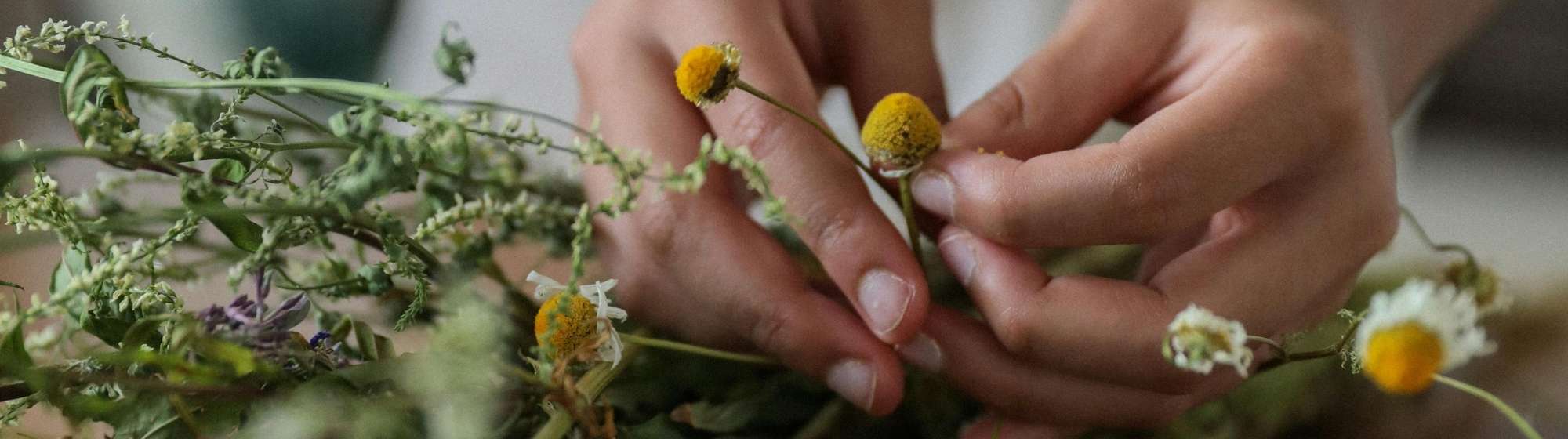 Mains cueillant des fleurs et plantes sauvages pour une création naturelle.