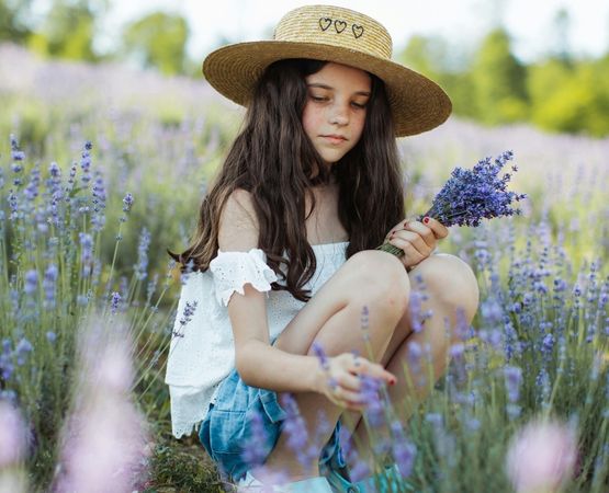 Petite fille cueillant un bouquet de lavande dans un champ en été.