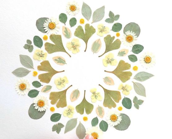Composition circulaire décorative réalisée avec des fleurs et feuilles séchées sur fond blanc.