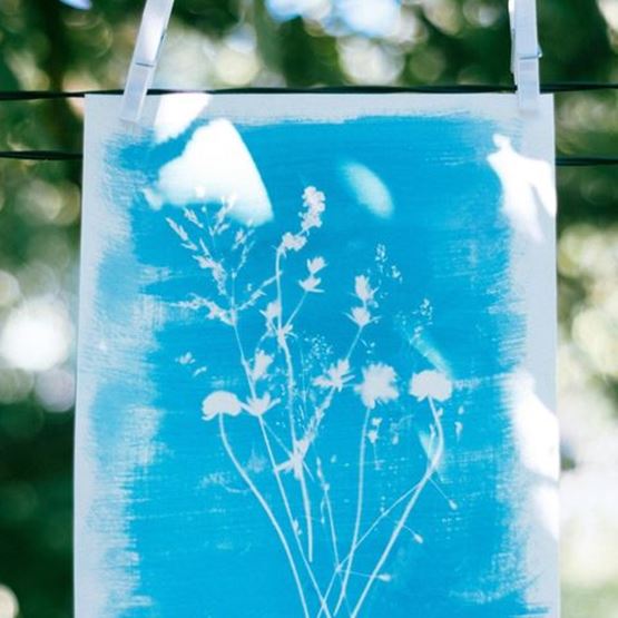 Floral cyanotype hanging from a thread, showing silhouettes of white flowers against a blue background in natural summer light.