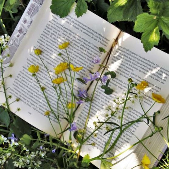 An open book on the grass, decorated with yellow, purple and white wildflowers.