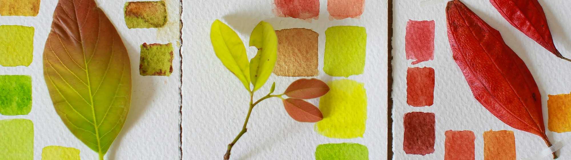 Watercolour colour chart inspired by natural leaves, with a paint palette.