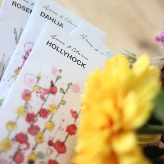 Illustrated, personalised seed sachets as gifts for wedding guests.