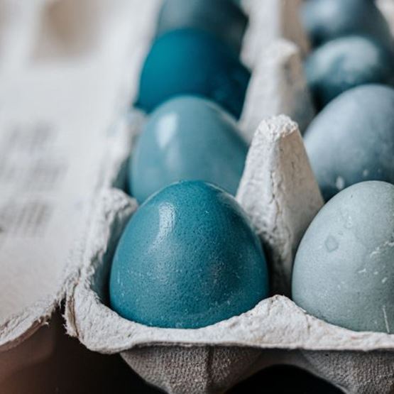 Blue-dyed eggs in a cardboard box on a dark background.