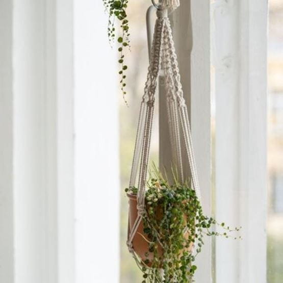 Suspension en macramé avec un pot de plante suspendu à une fenêtre.