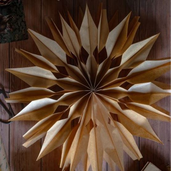 The big Christmas star