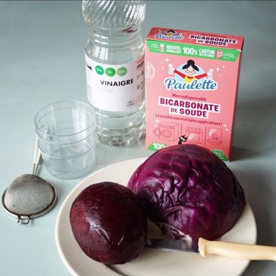 Ingredients for making vegetable ink: vinegar, bicarbonate, beetroot, red cabbage.