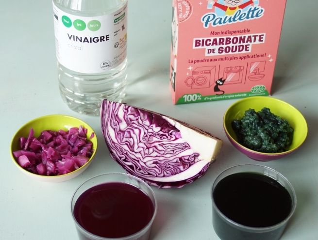 Ingredients and natural extracts based on red cabbage for making vegetable ink.