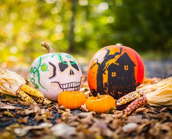 Citrouilles peintes avec des motifs de crâne et de maison hantée pour une décoration d’Halloween
