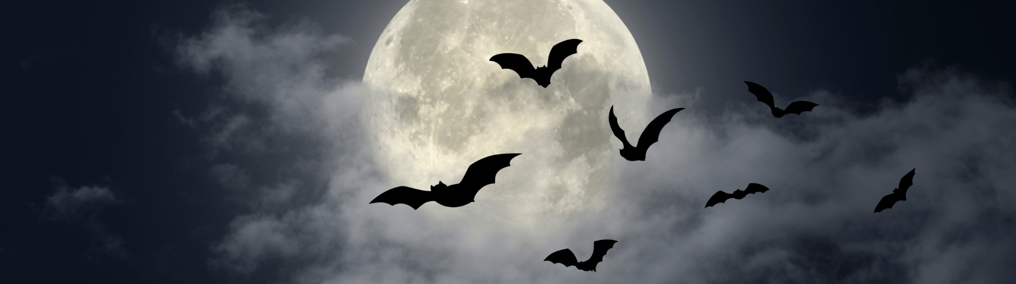 Nos tutos DIY pour Halloween