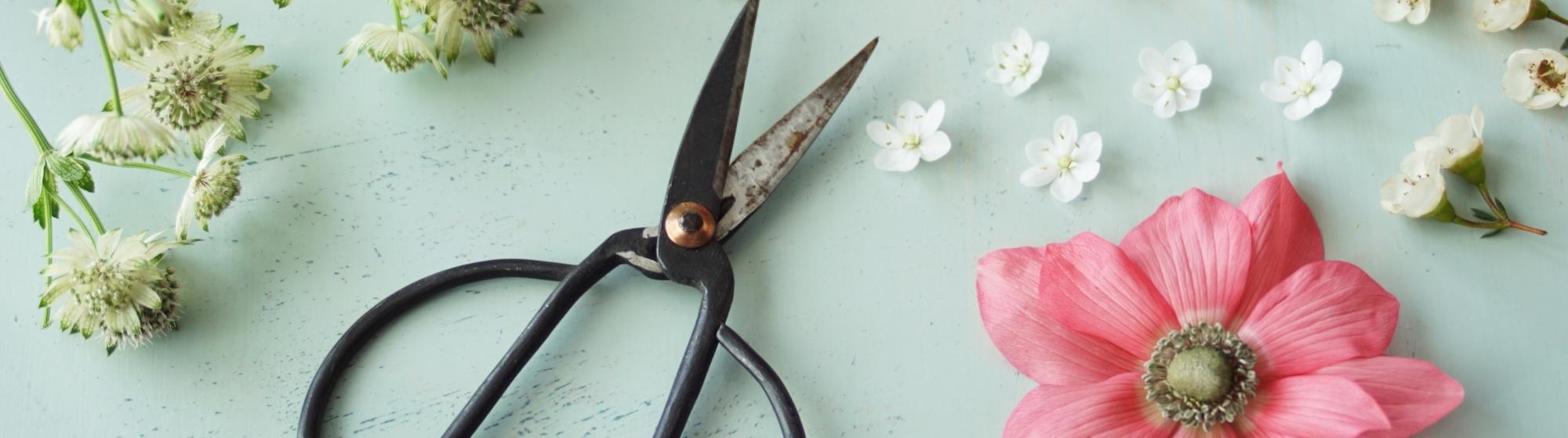 step diy wedding invitation composition flowers decoupage scissors pastel background creation