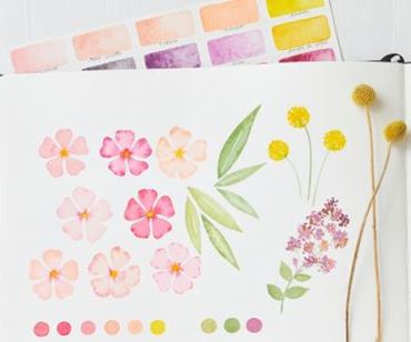 Peinture fleurs aquarelle