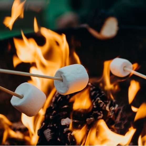 Feu de camp