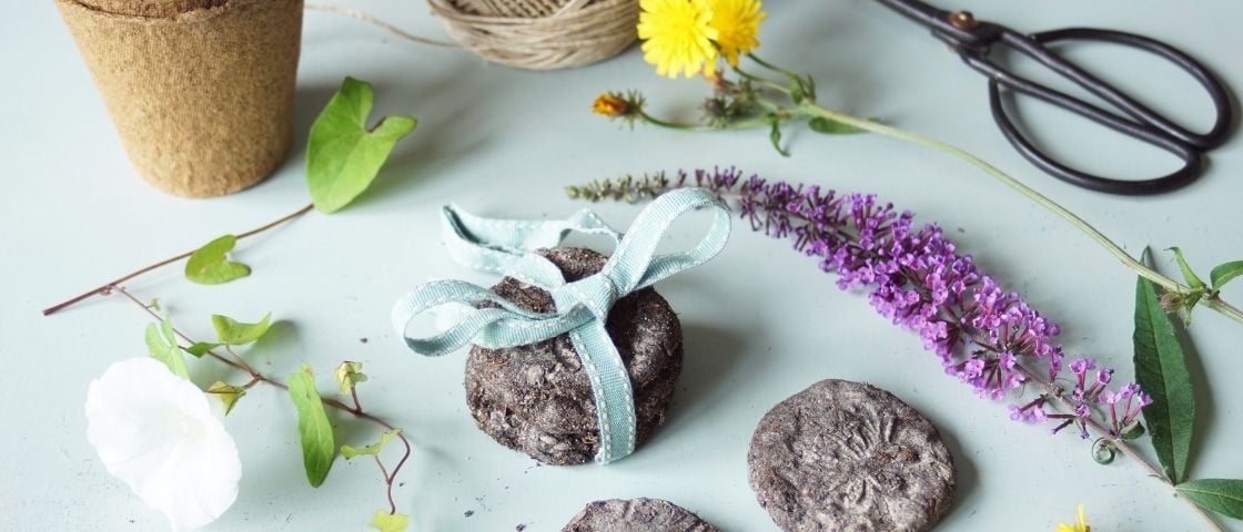 DIY de bombes à graines terminées, attachées avec un ruban, entourées de fleurs, de ficelle et d’un pot biodégradable.