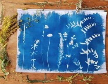 Tirage cyanotype représentant des plantes sauvages sur fond bleu, entouré de fleurs séchées et de tiges sur une table en bois.