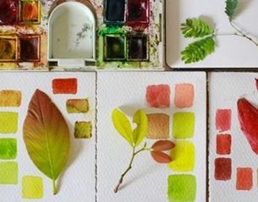 Nuancier de couleurs à l’aquarelle inspiré de feuilles naturelles, avec une palette de peinture.