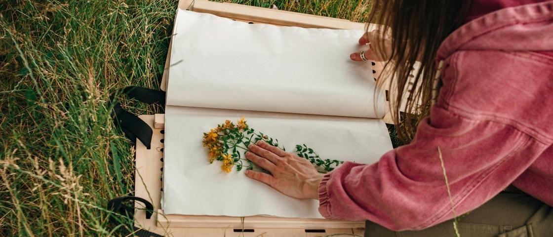 Personne en train de presser des fleurs jaunes entre des feuilles de papier dans un herbier posé sur l'herbe.