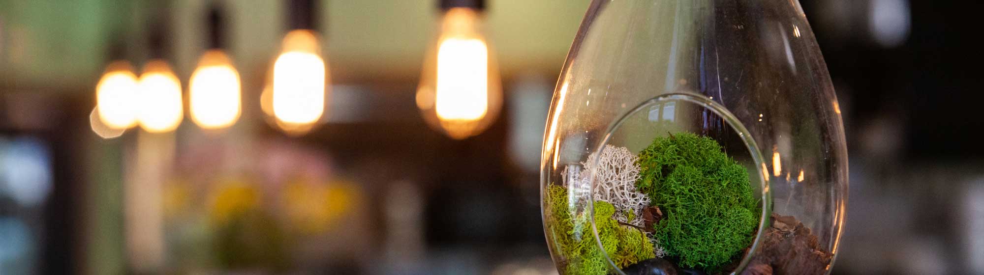 Foam in a glass bubble